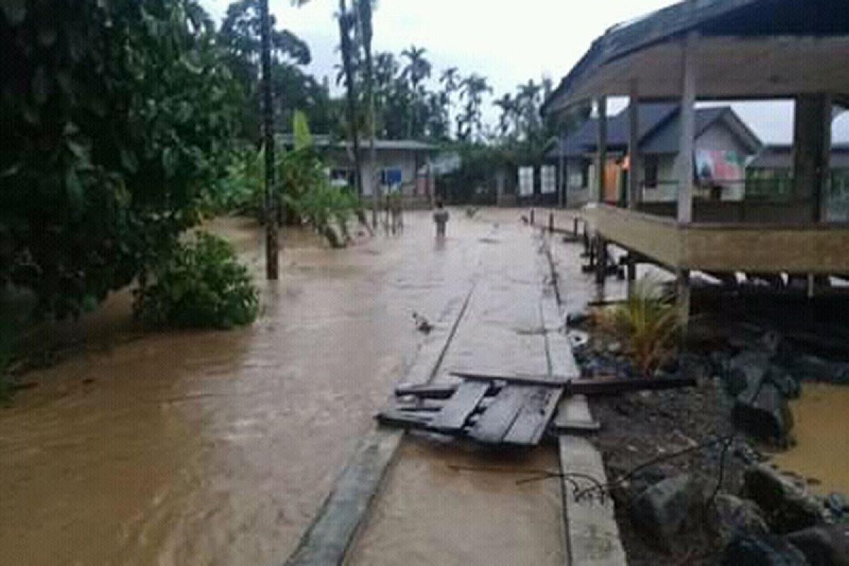 Aktivis minta Pemerintah Aceh serius pulihkan kerusakan hutan