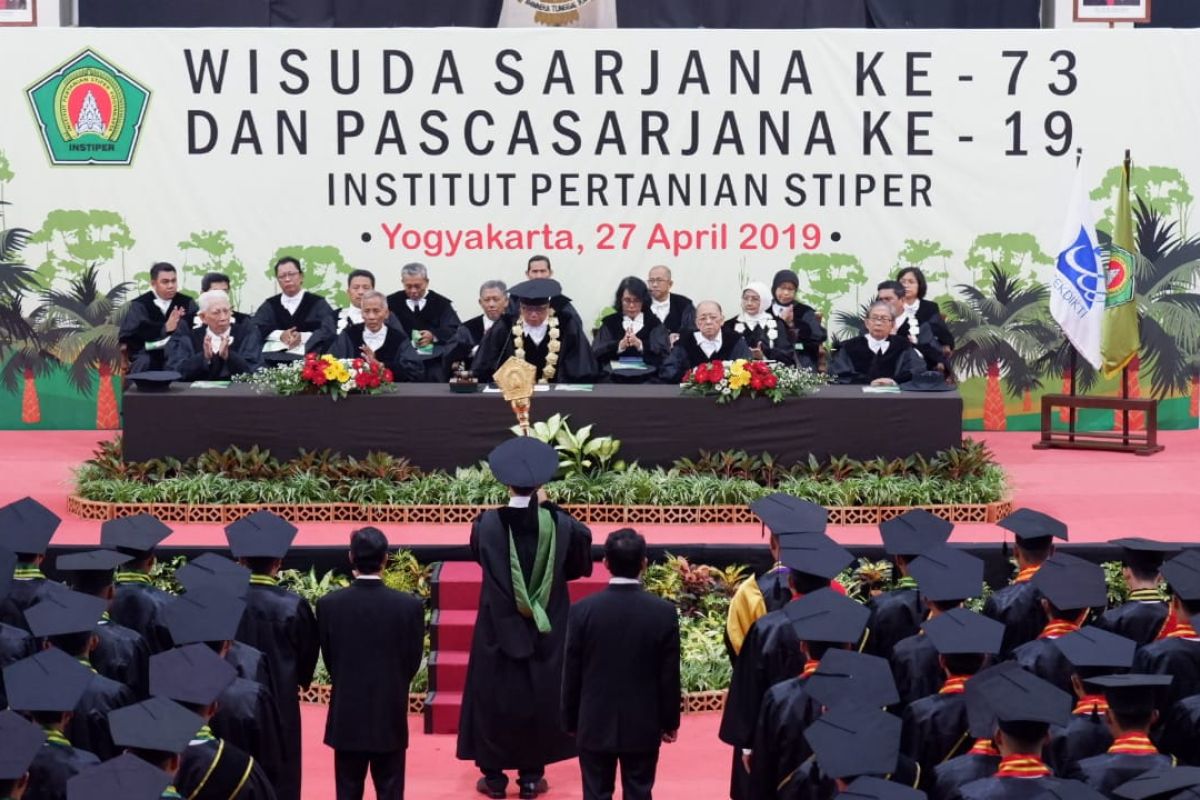 Wisudawan terbaik Instiper Yogyakarta asisten perusahaan kebun sawit