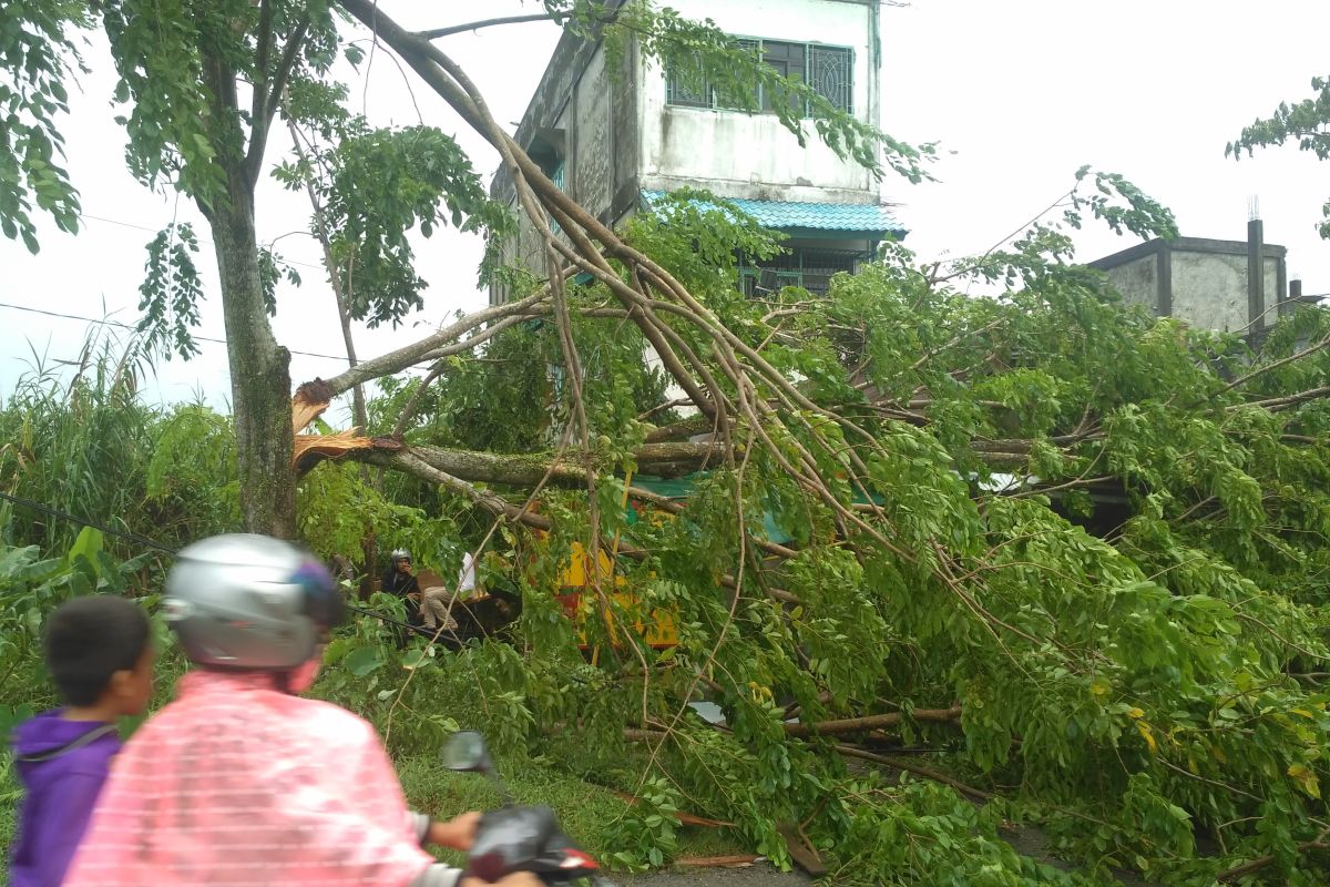 BMKG: Masyarakat di Barat Selatan Aceh waspadai angin kencang