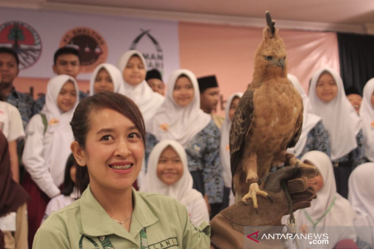 Taman Safari mengembangbiakkan burung 'Garuda'