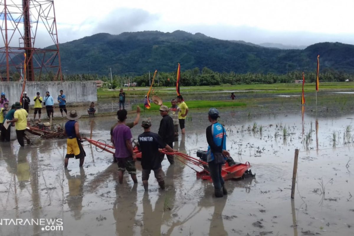 Di Solok  ada balapan mesin bajak sawah