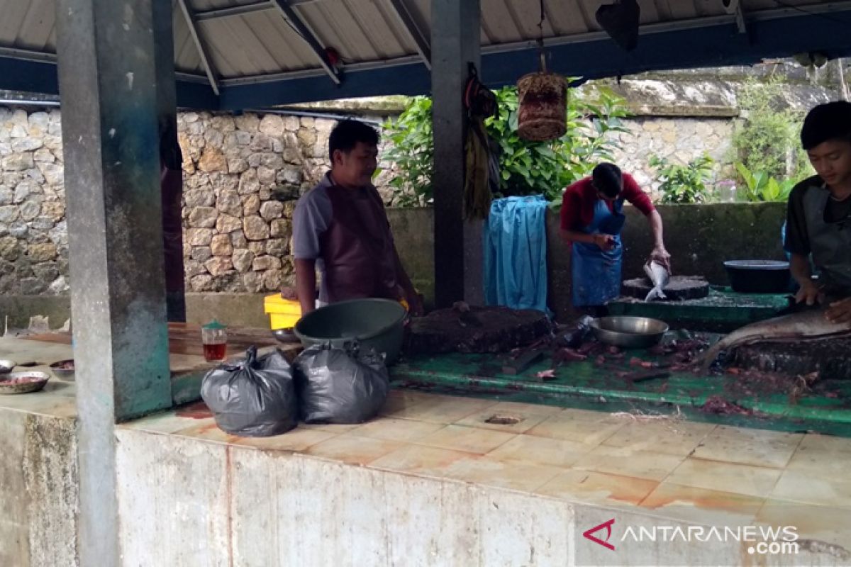 Warga Gunungsitoli kesulitan dapat ikan laut