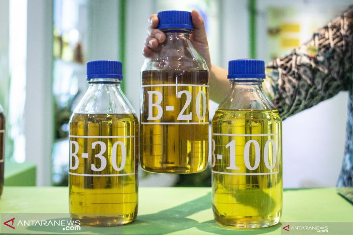 Gapki sebut penyerapan biodiesel semester I 2019 capai 3,29 juta ton