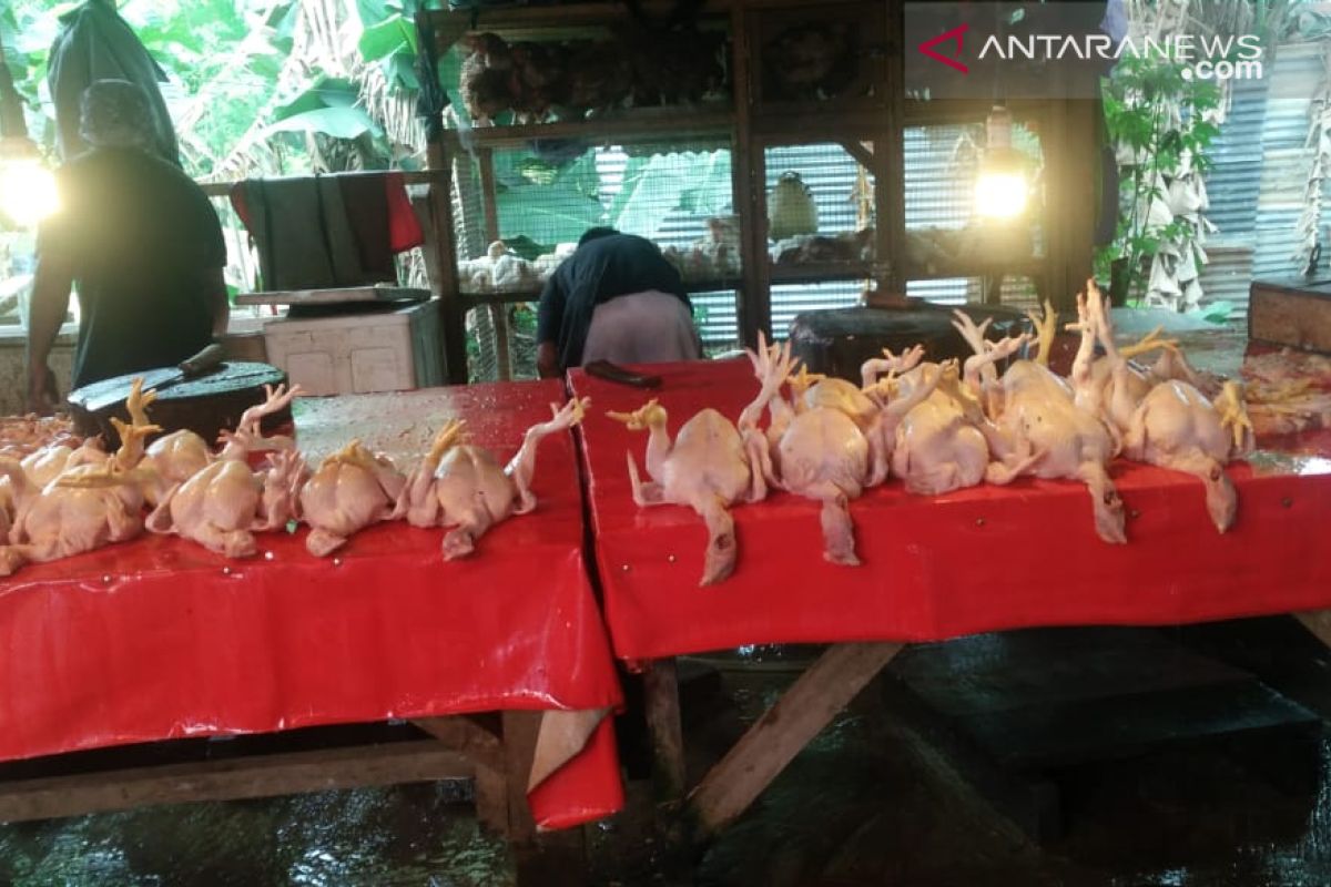 Jelang Ramadhan, harga ayam potong naik Rp5.000/ekor