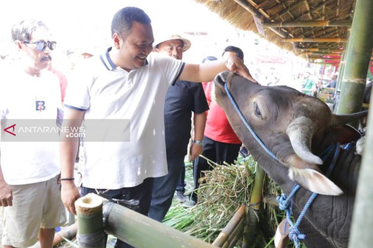 HUT ke-248, Kota Gianyar lombakan Sapi Ternak Bali