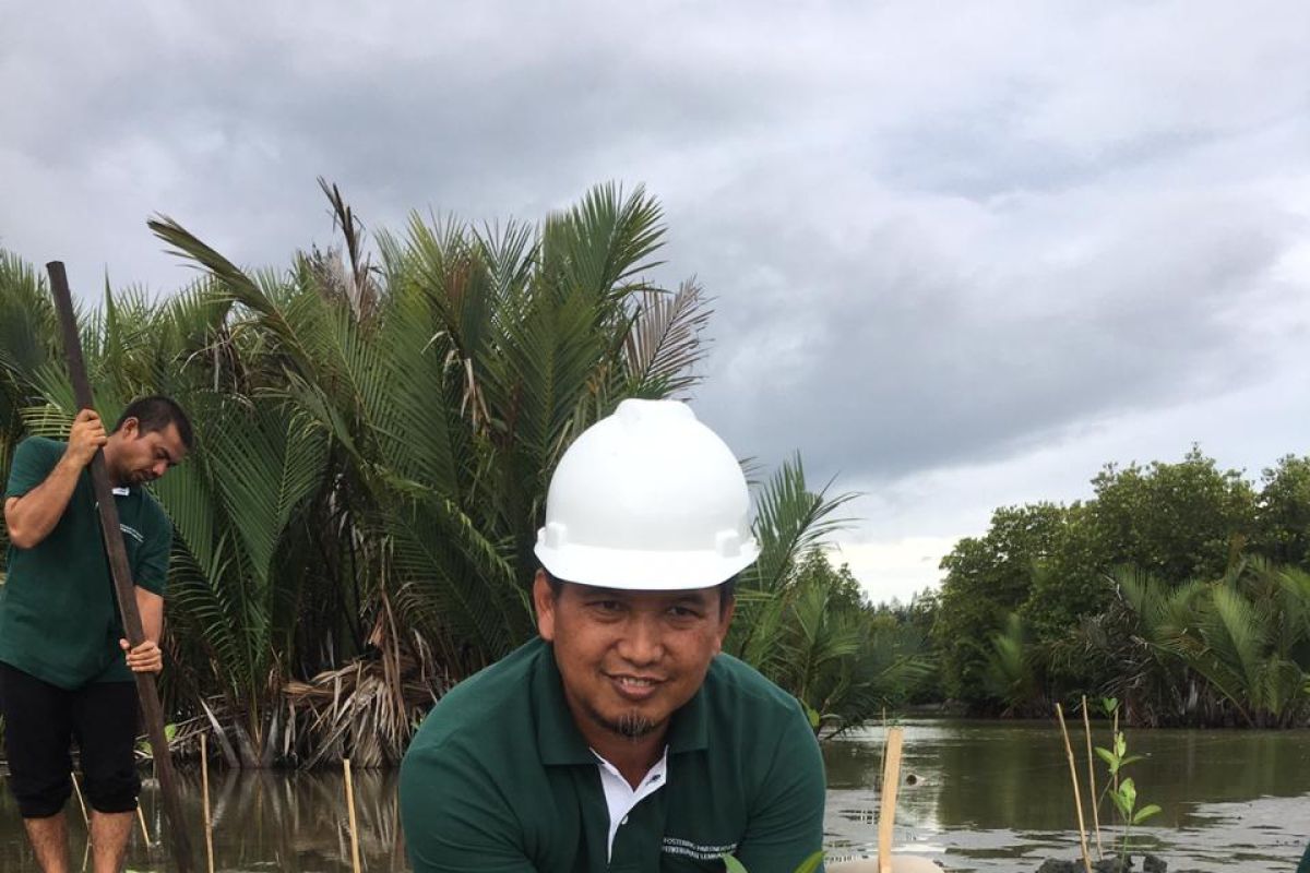 Perbaiki ekosistem pascatsunami, PT PLB tanam mangrove
