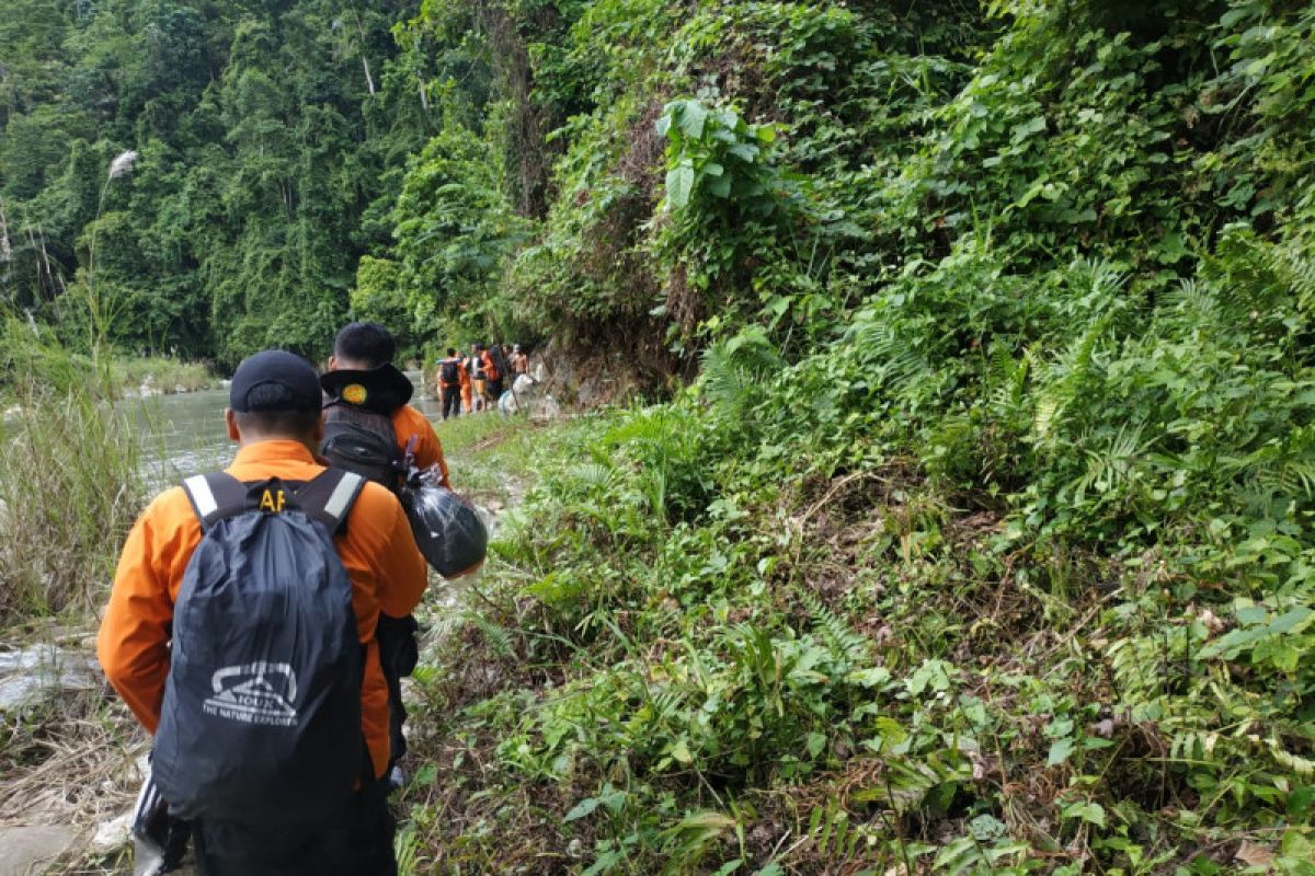 Basarnas: 12 Pendaki Masih Tersesat di Hutan Gunung Mekongga