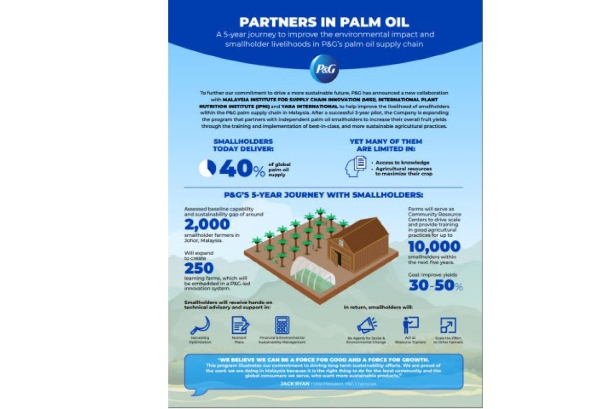 P&G partners to improve environmental impact and smallholder livelihood in palm oil supply chain