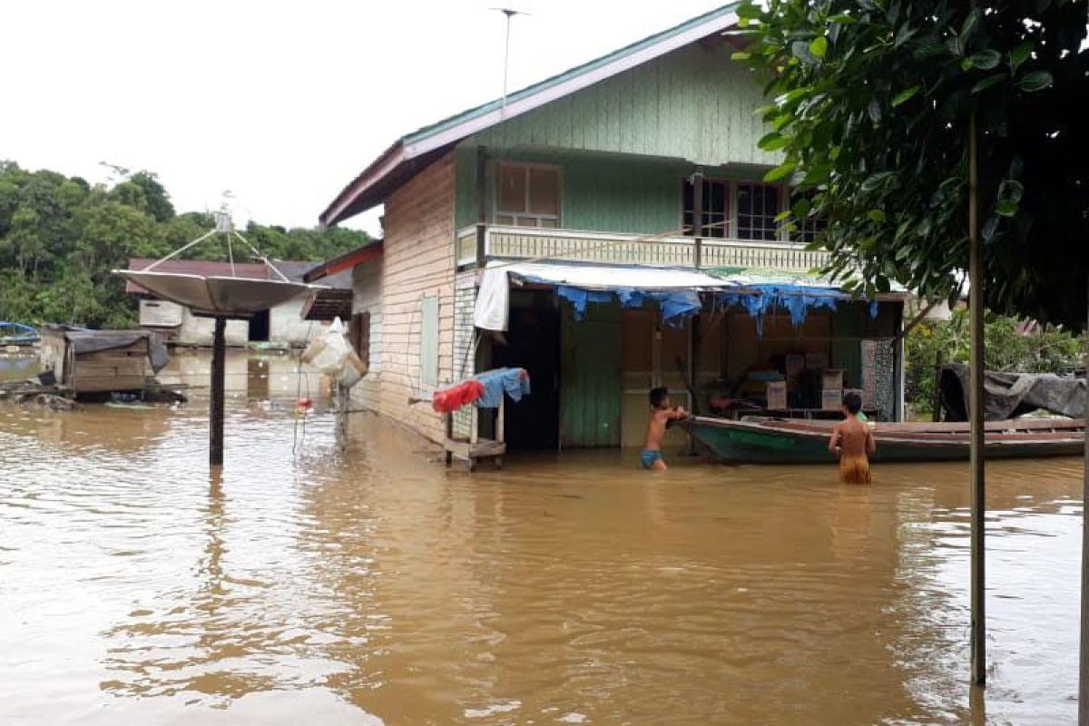 Sebanyak 89 rumah terendam banjir di Kapuas
