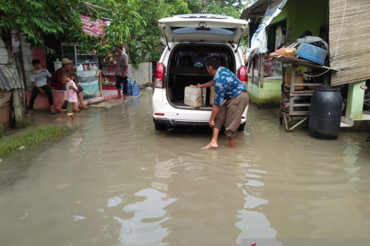Banjir terjang ratusan hektare tambak ikan siap panen di Tangerang