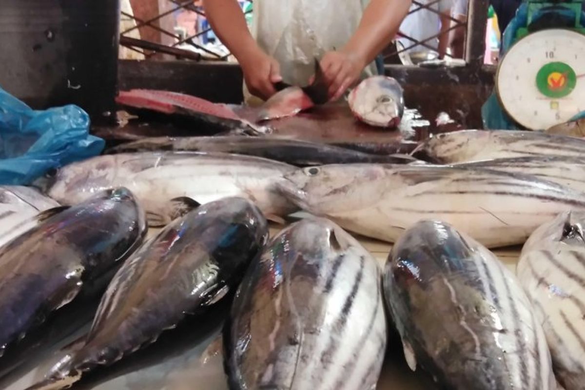 Harga ikan di Deliserdang relatif stabil