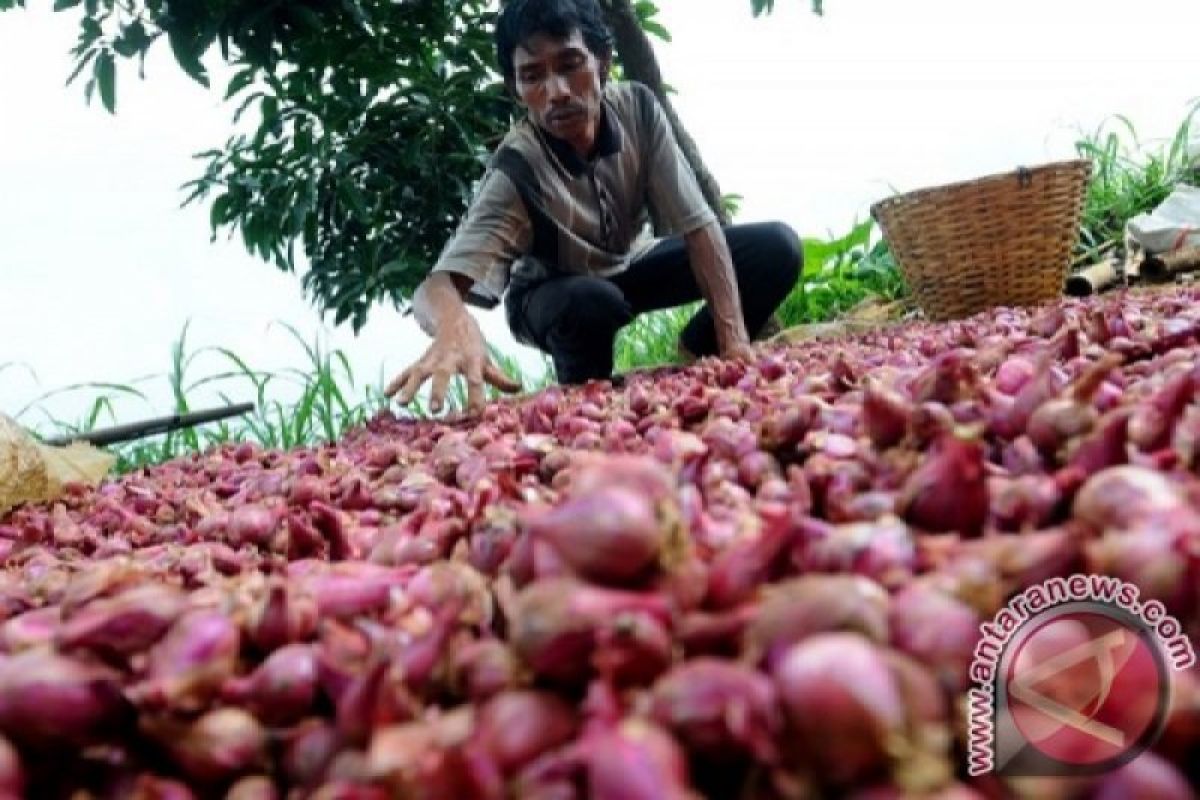 Lima ton bawang merah dari Surabaya untuk operasi pasar di Kupang