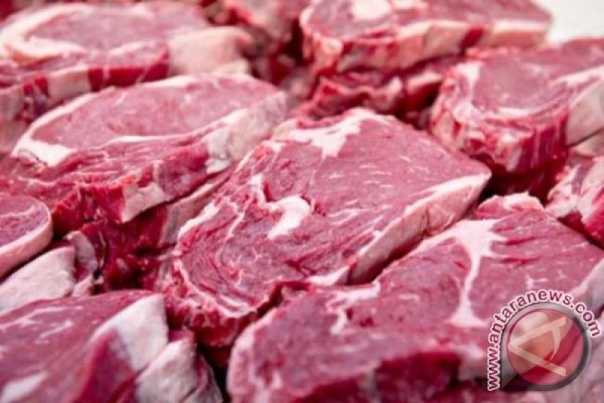 Pengawasan pedagang daging beku di Mataram ditingkatkan