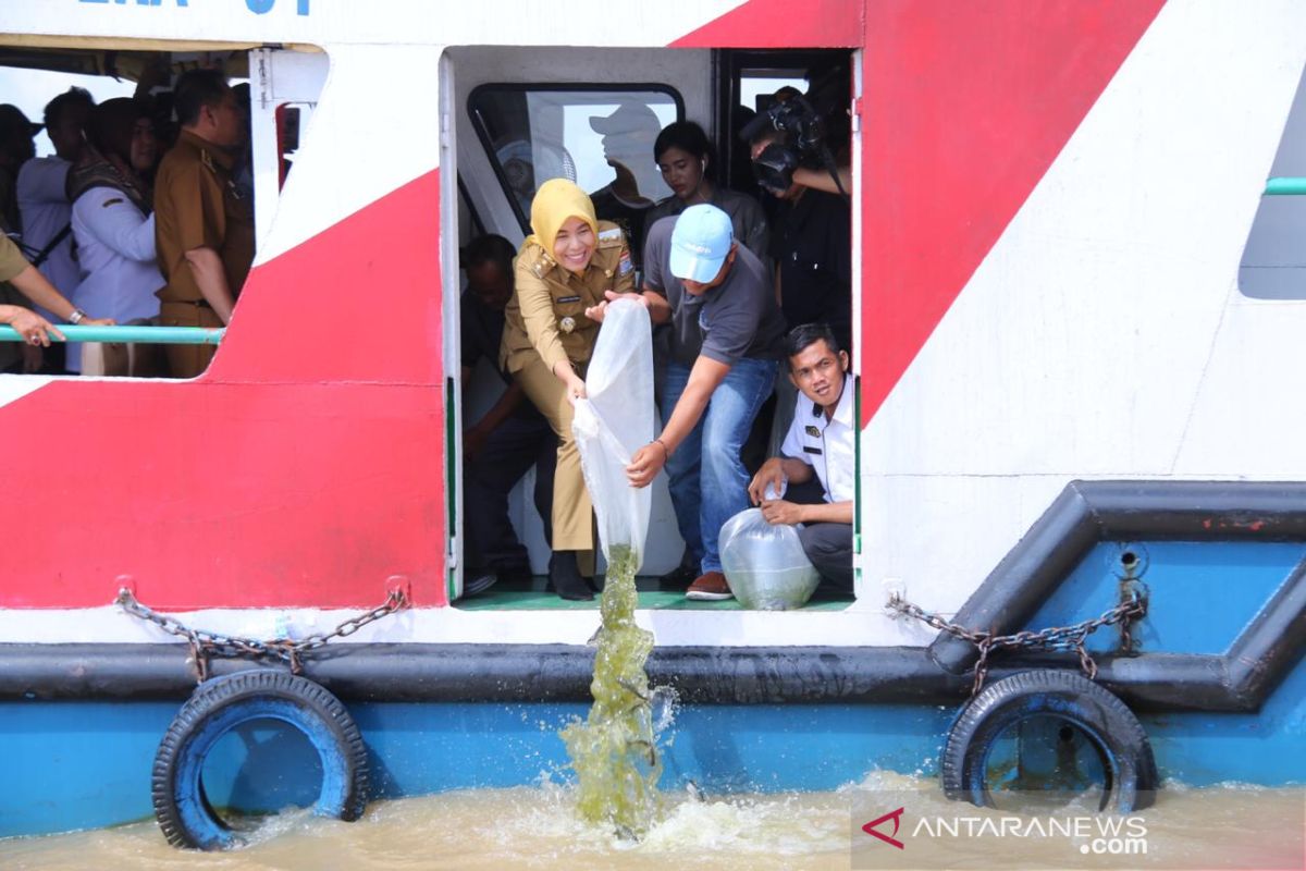 Pemkot Palembang ingatkan warga tidak gunakan racun saat tangkap ikan