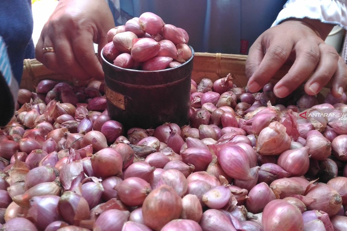 Harga bawang merah di Putussibau mencapai Rp40 ribu/kg