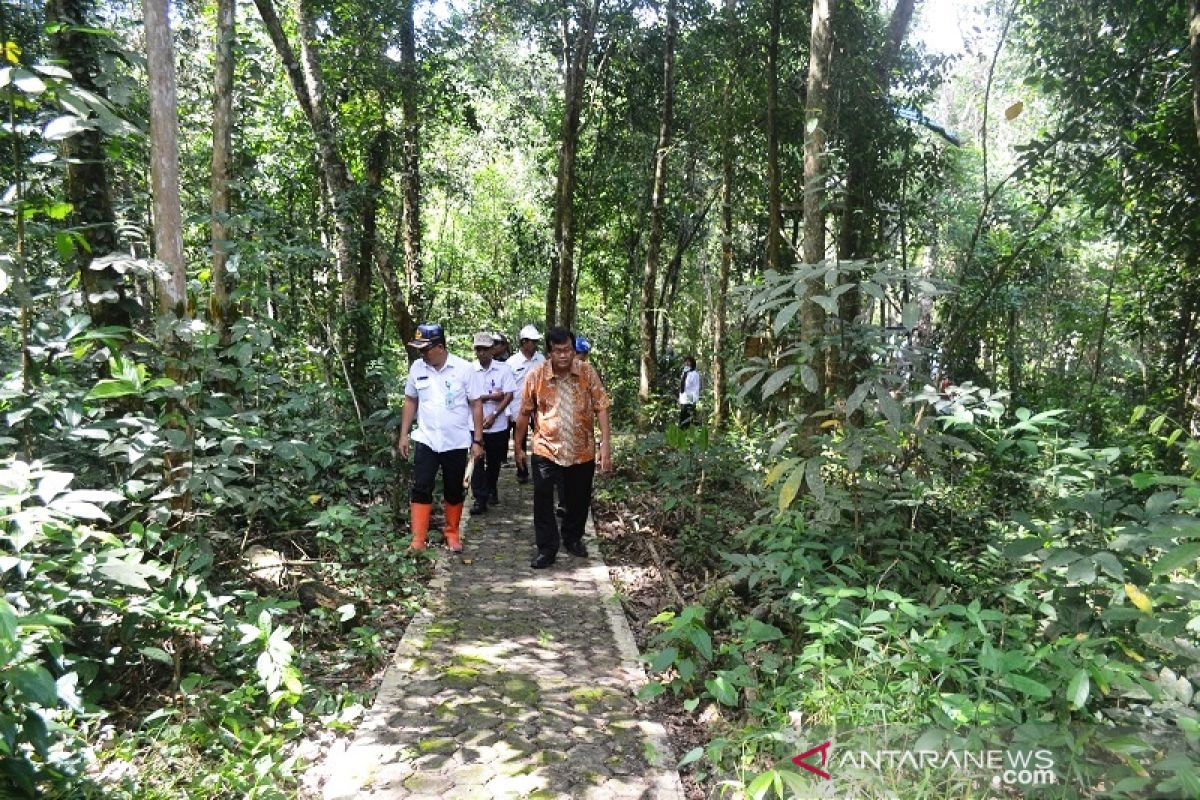 Only Balangan has a botanical garden in South Kalimantan: Balitbangda