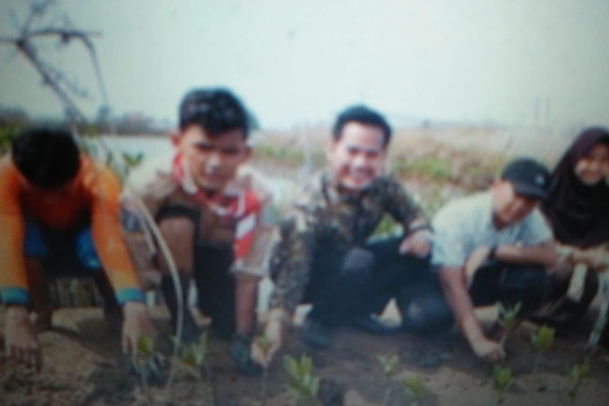 Dinas Perikanan Tangerang gandeng swasta tanam 200.000 batang bakau
