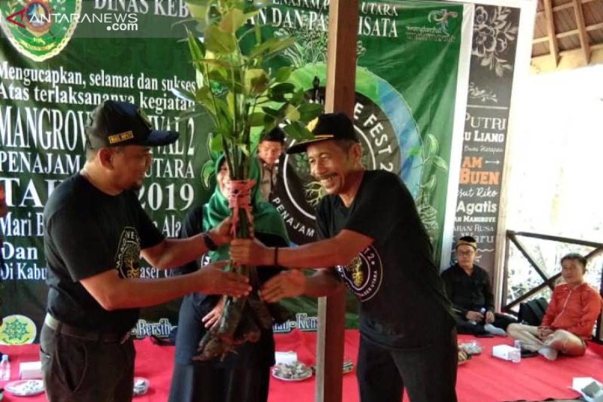 Festival Mangrove Penajam ditandai penanaman 500 batang bibit bakau