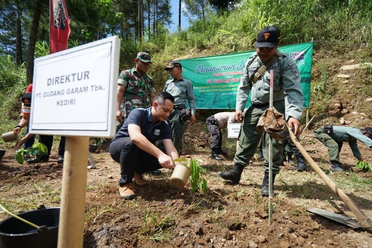 Ribuan pohon berbagai jenis ditanam di lereng Gunung Wilis