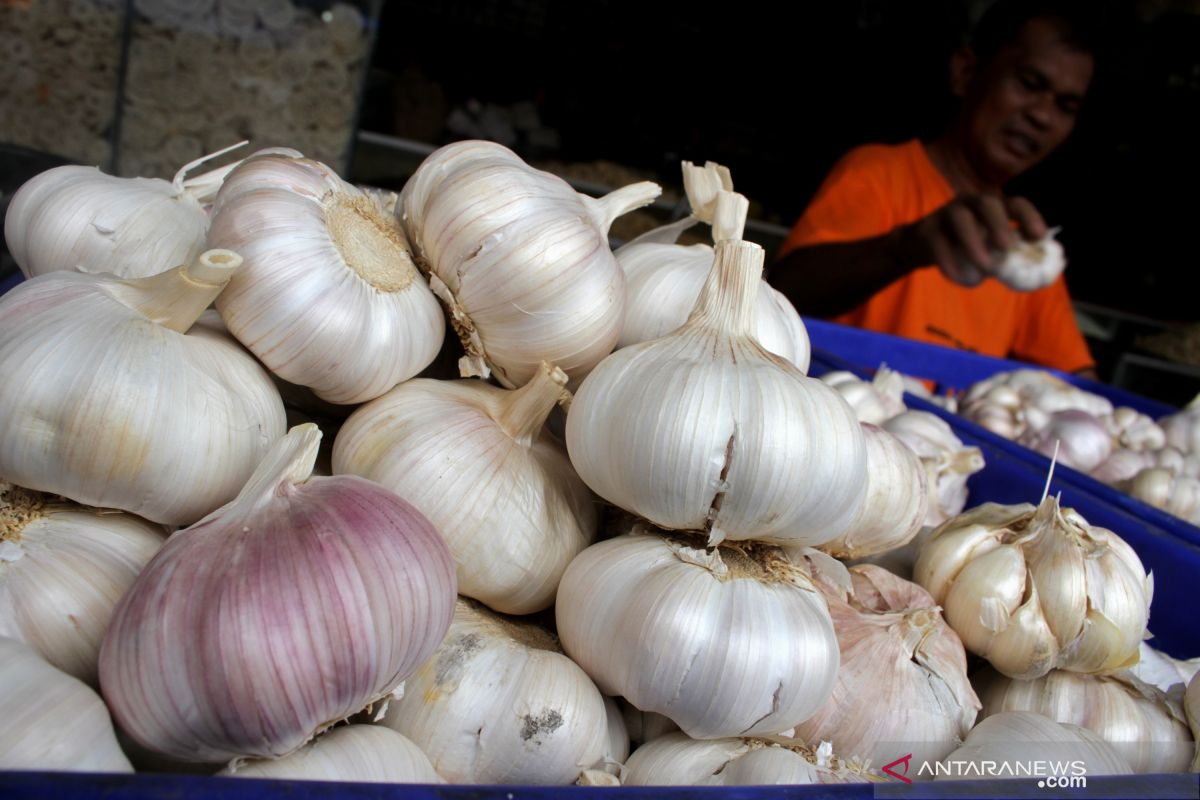 Di Bandarlampung bawang putih Rp70.000/kilogram