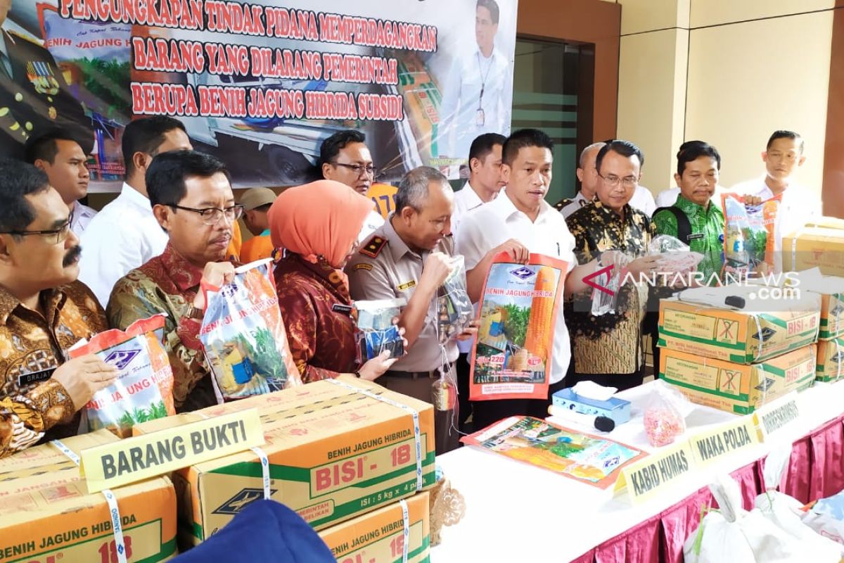 Polda Jatim bongkar perdagangan benih jagung bersubsidi