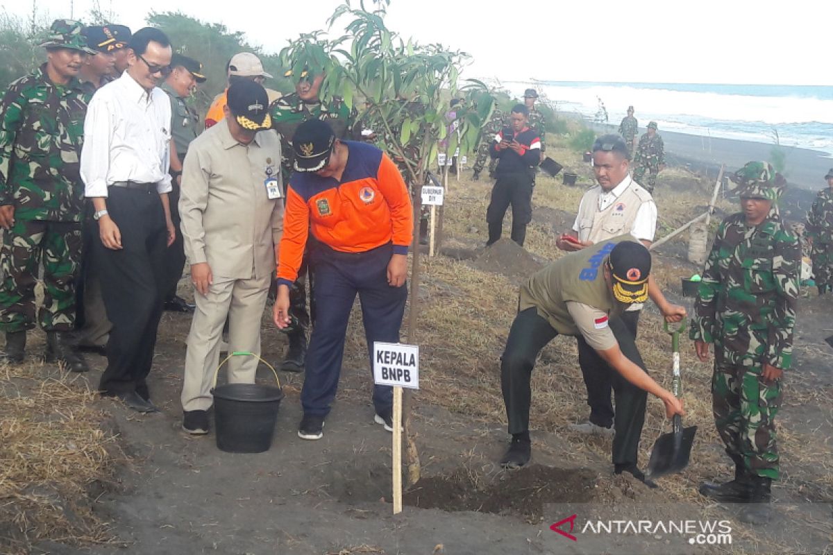 BNPB tanam sabuk hijau di kawasan BIY