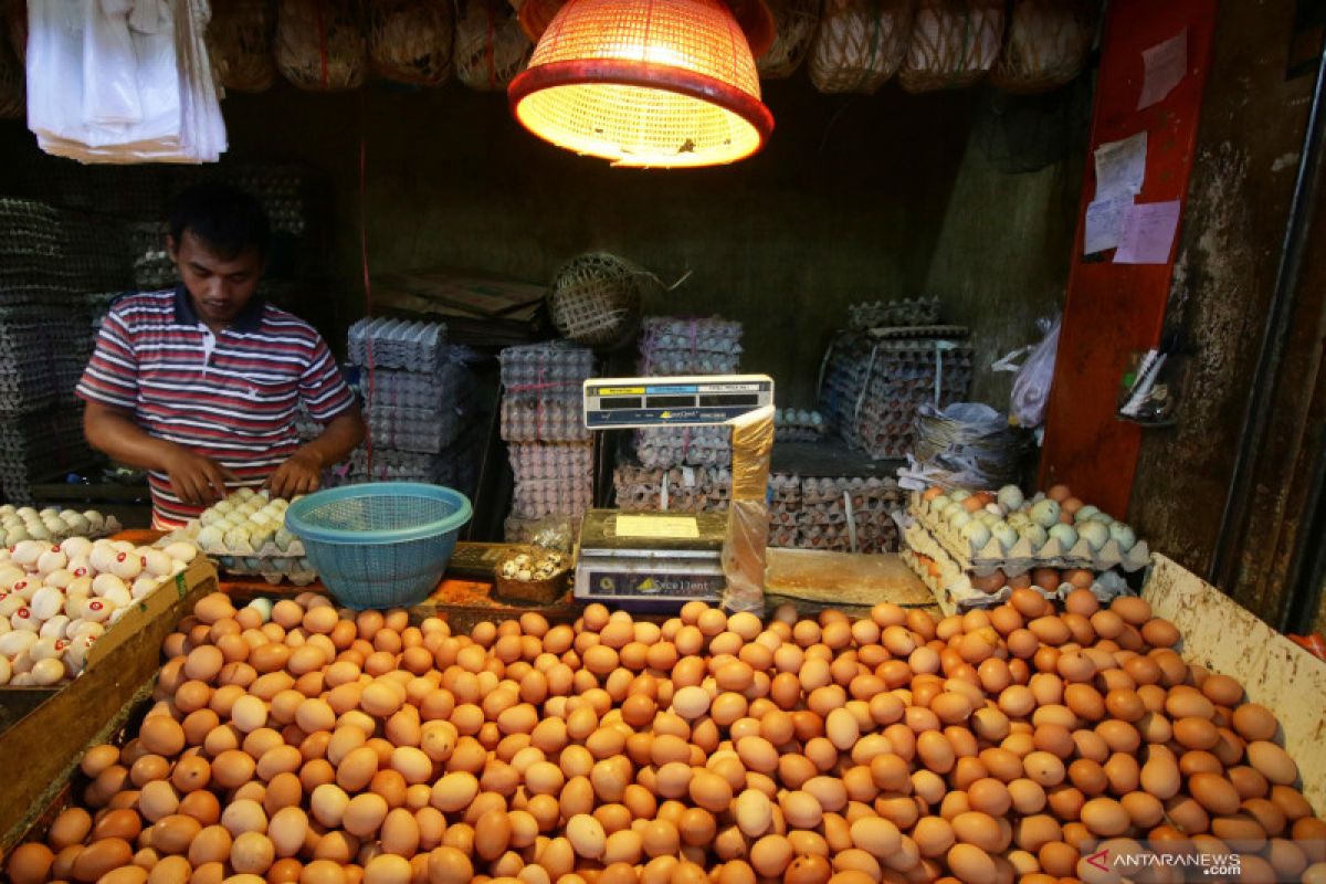 Disperindag jamin harga telur ayam di Ternate kembali normal