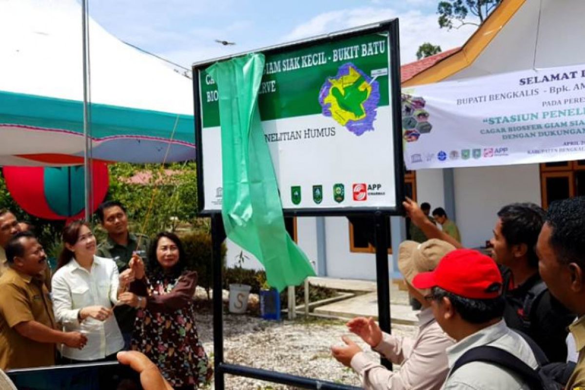 Sinar Mas resmikan stasiun penelitian  cagar biosfer di Bengkalis Riau