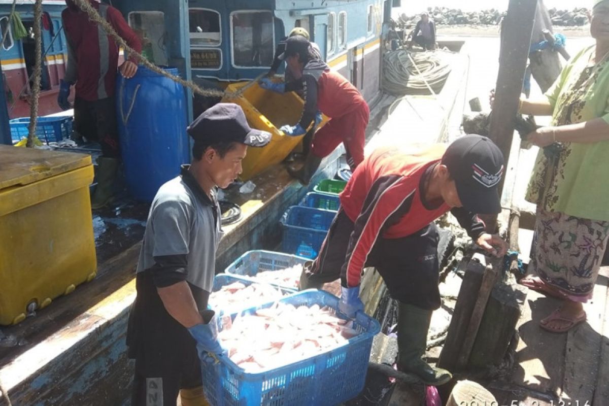 Tangkapan nelayan Pandeglang pascatsunami meningkat