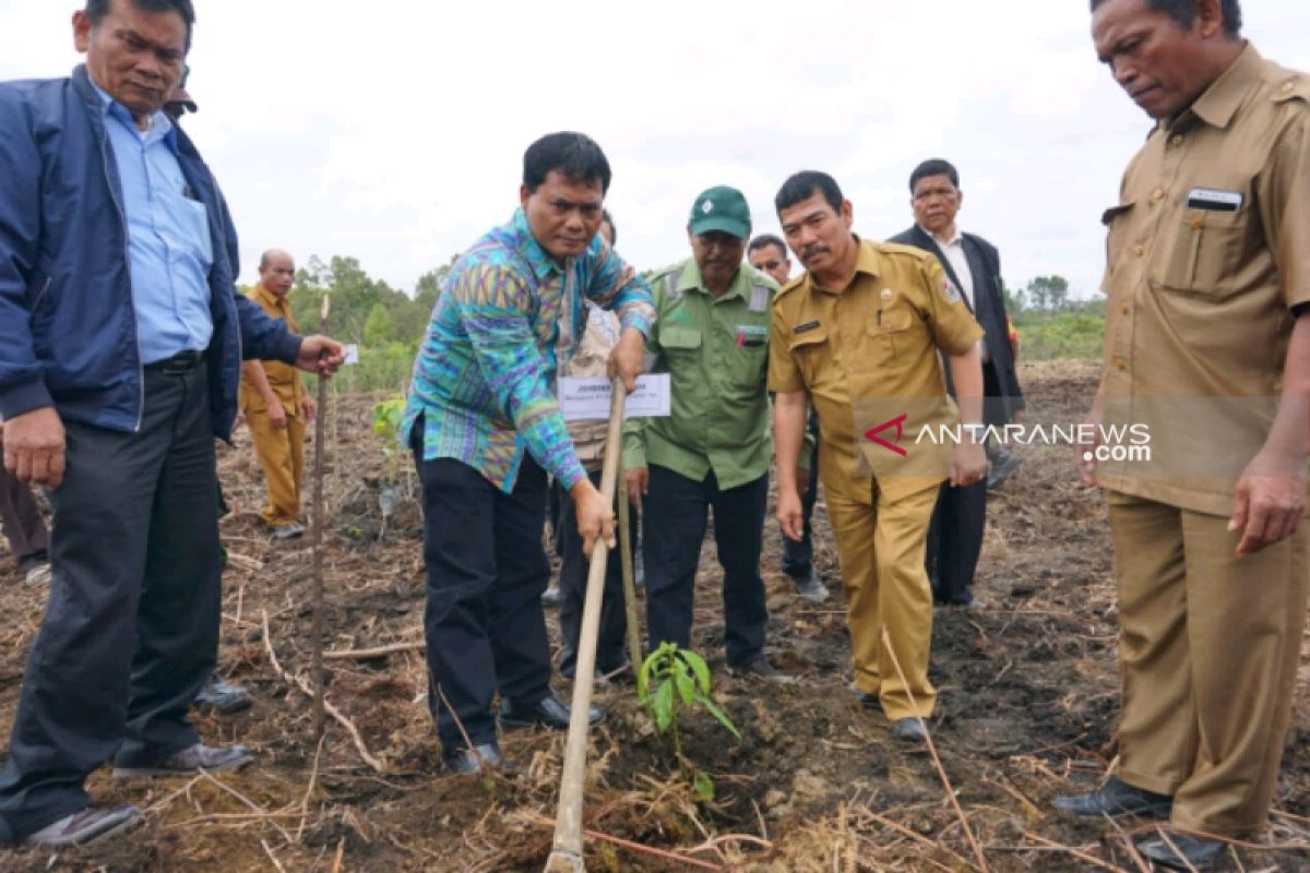 TPL tanam pohon kehidupan di Sipahutar