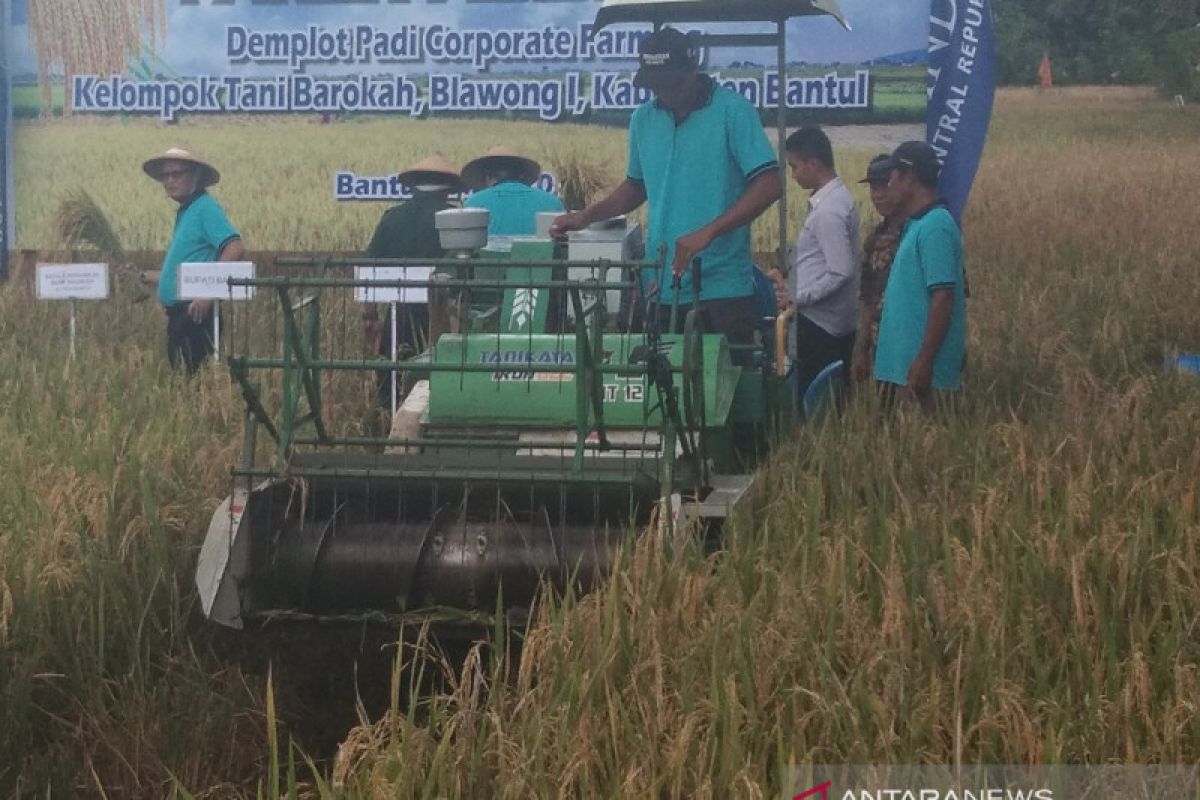 Kelompok Tani Trimulyo menerapkan mekanisasi pertanian budi daya padi