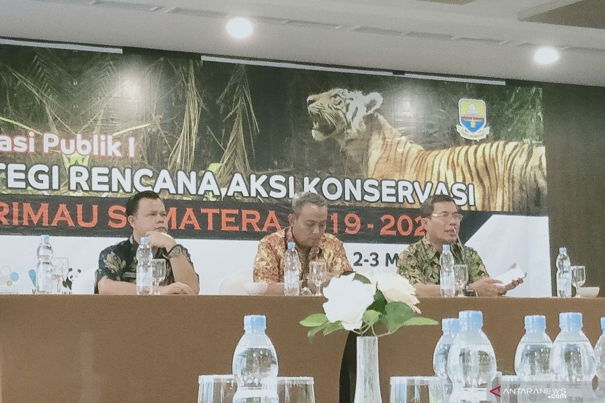 Indonesia mulai menyusun SRAK Harimau Sumatera 2019-2028