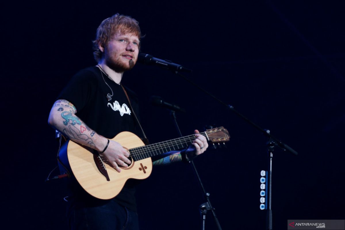 Ed Sheeran sedih kucingnya mati ditabrak mobil