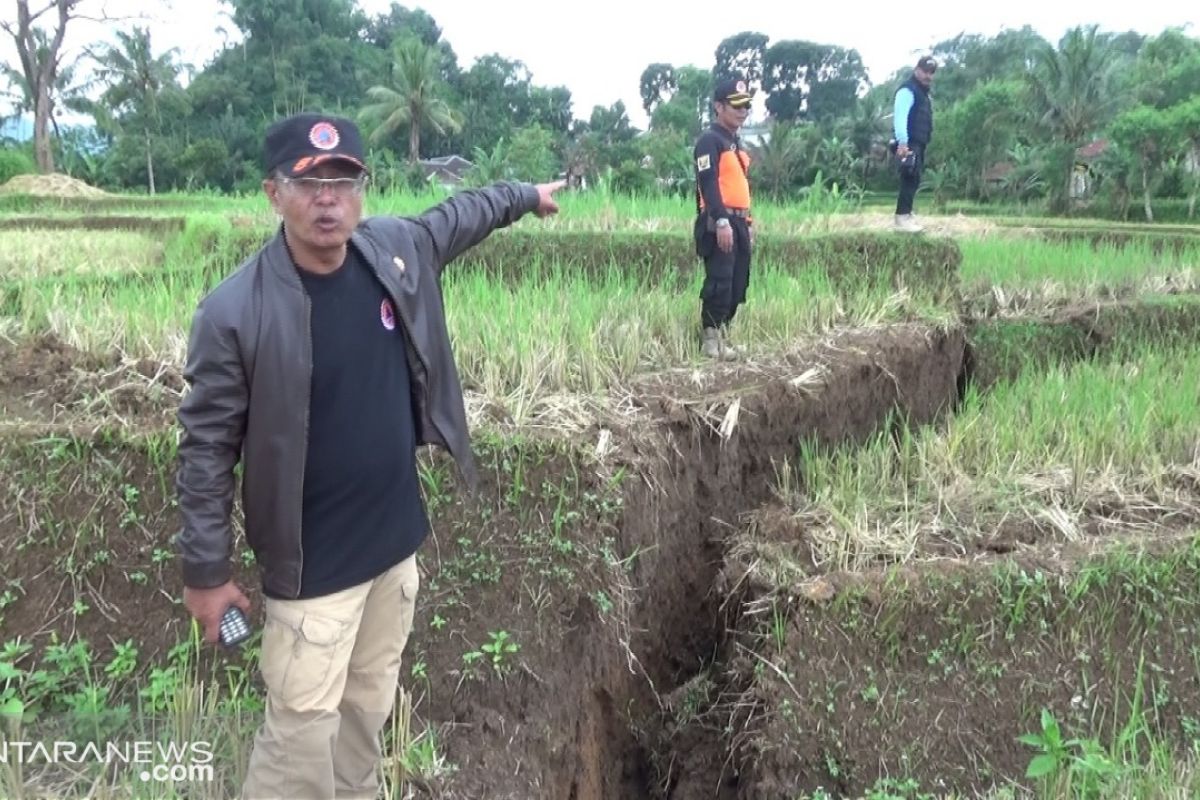 Korban Pergeseran Tanah Jual Ternaknya Harga Murah