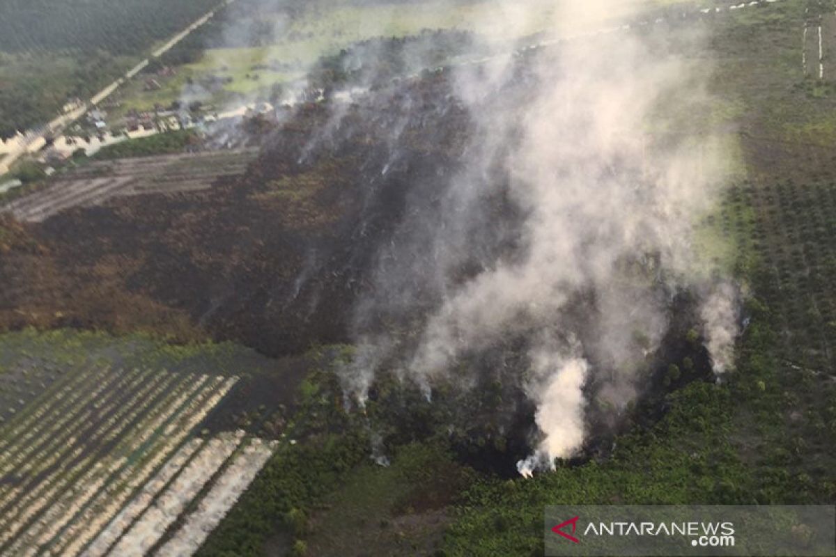 Menanti kebijakan kepemimpinan bagi restorasi gambut