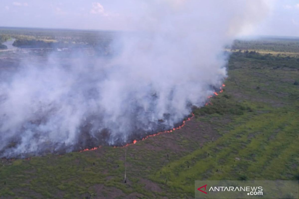 Satgas berjibaku padamkan api di zona inti Cagar Biosfer Riau