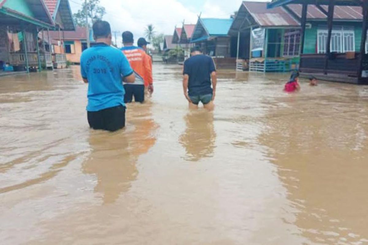 Ribuan kepala keluarga di Pulang Pisau jadi korban banjir