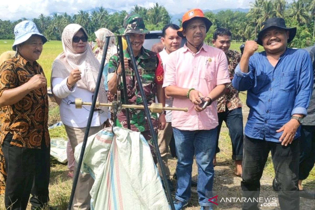 Padangsidimpuan targetkan produksi padi 66.550 ton pada 2020