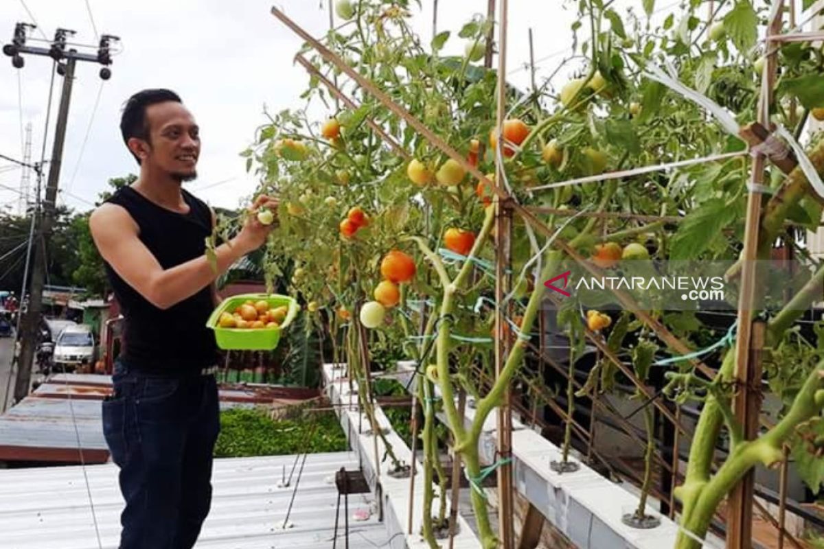 DKP Kota Makassar gelar pembinaan program pangan produktif