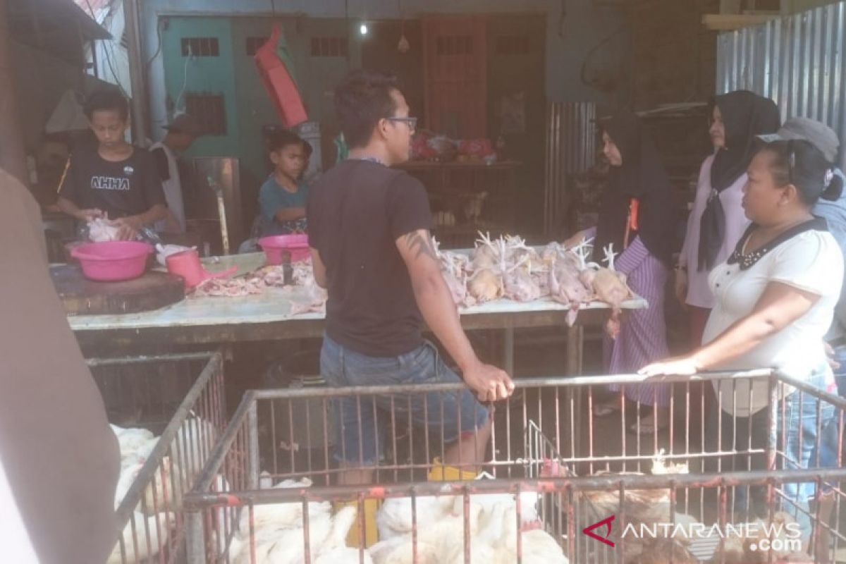 Harga ayam potong di Gorontalo naik karena kekurangan stok