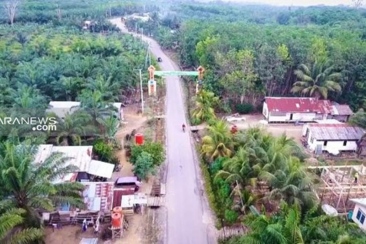 17 Ribu Ha lahan sawit di Paser diremajakan