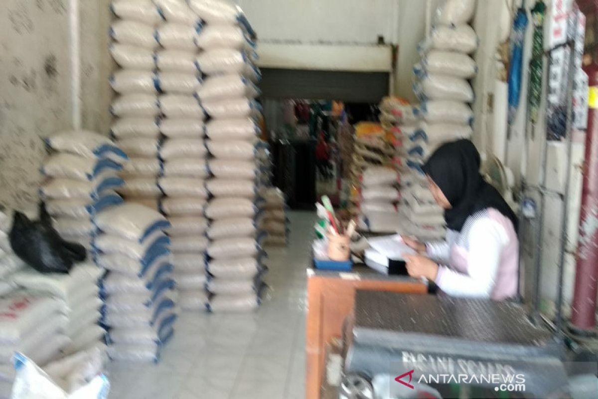 Harga beras di tingkat pedagang Kulon Progo  masih stabil