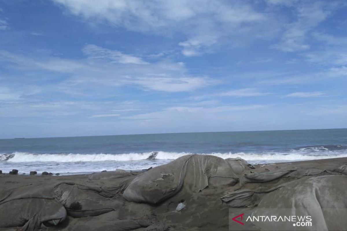 Tidak ada tanggul, abrasi pantai Aceh Barat semakin parah