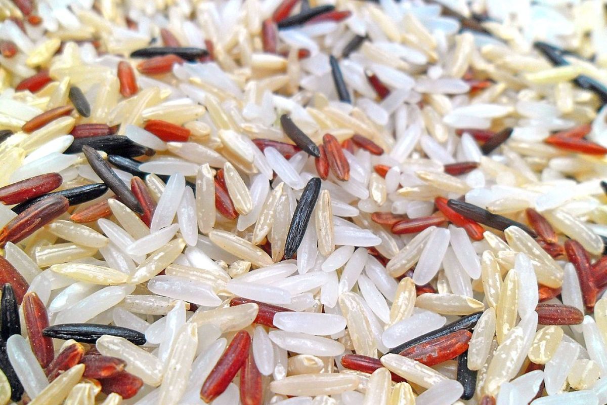 Kesensitifan pasar beras dunia perlu disertai kebijakan domestik tepat