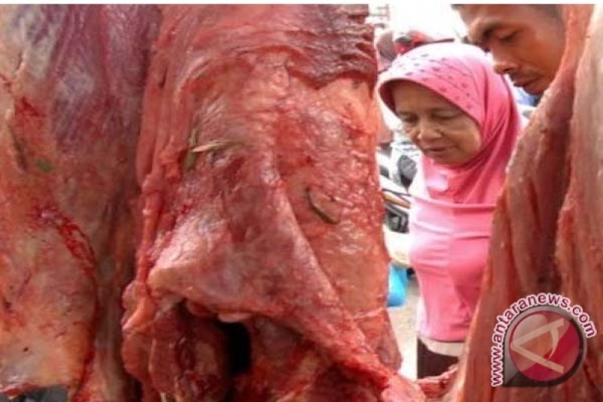 Puasa pertama Ramadhan, harga daging sapi di Tapsel bertahan mahal