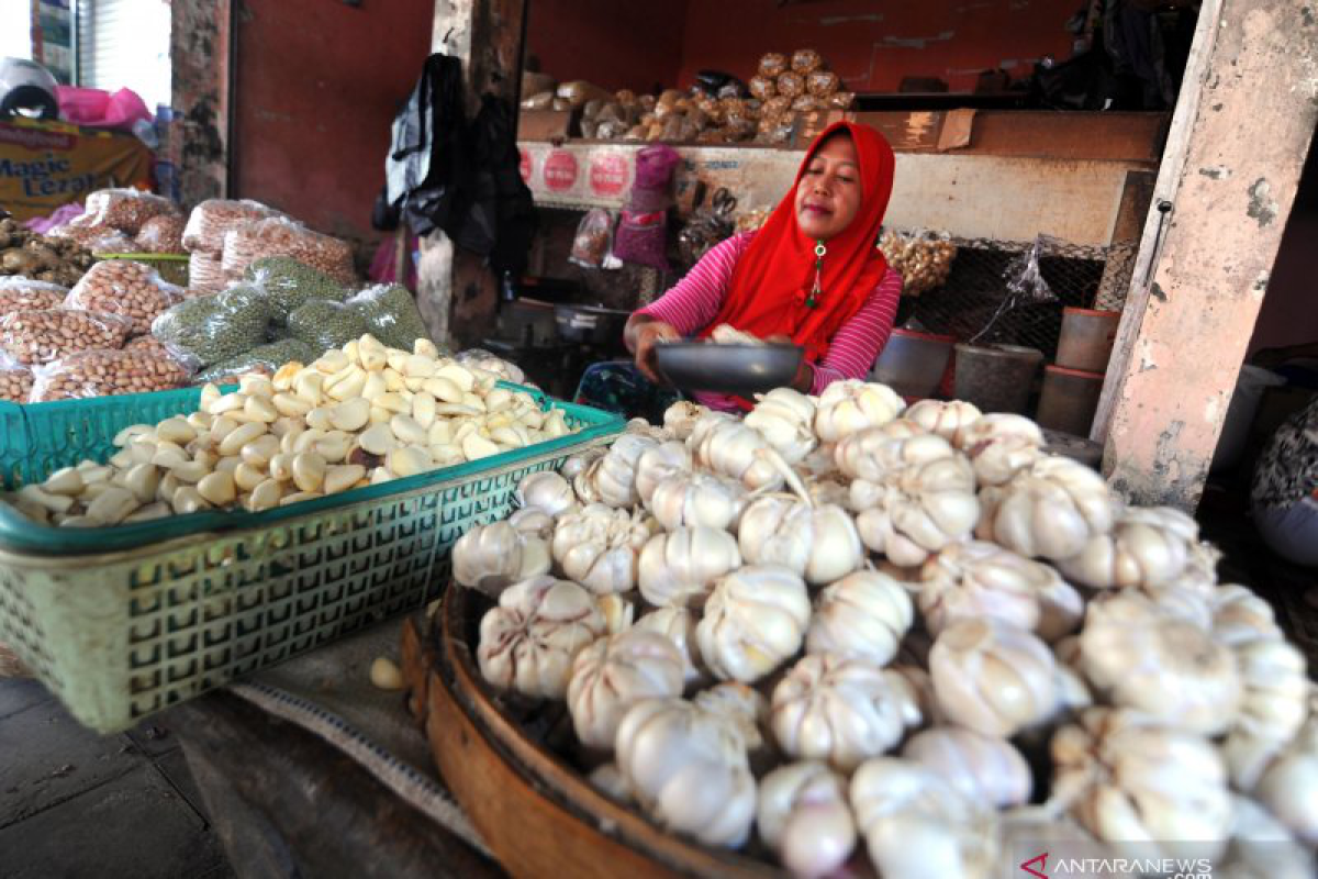 The price of garlic skyrocketed in Pesisir Selatan, has broken of  Rp120 thousand per kilogram