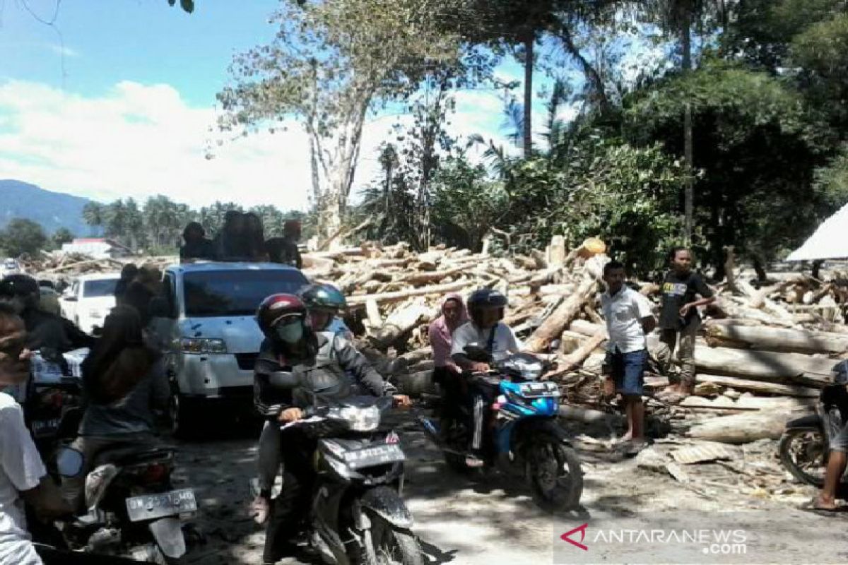 Banjir bandang di Sigi karena hutan sudah rusak?