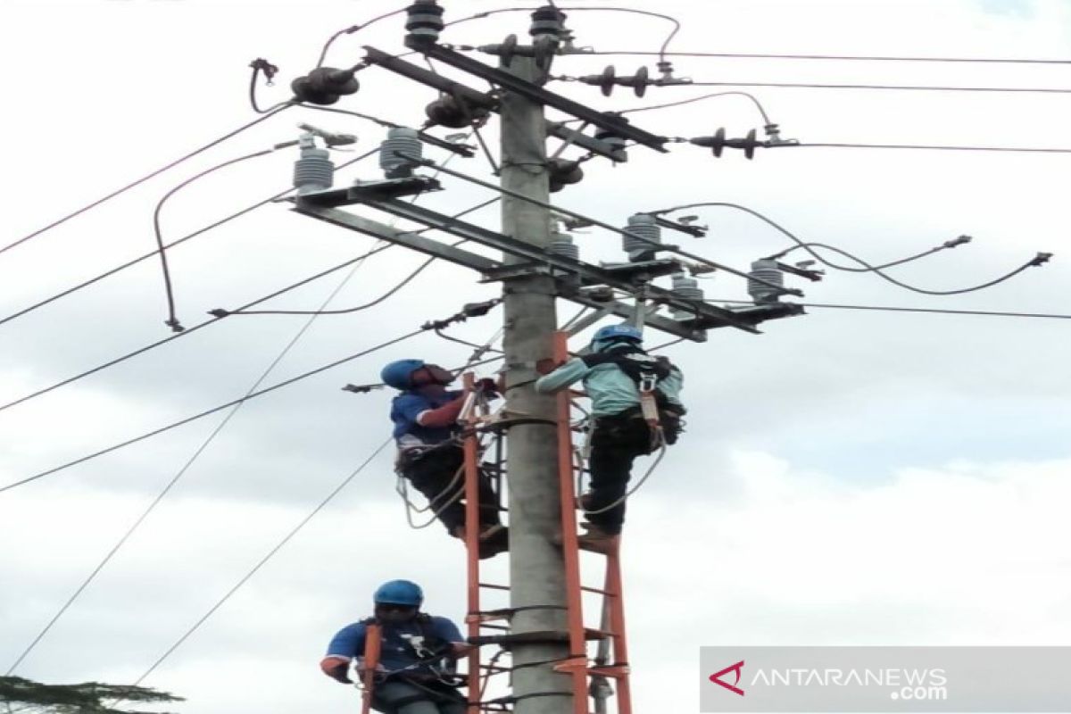 PLN perbaiki 40 penyulang di Jayapura