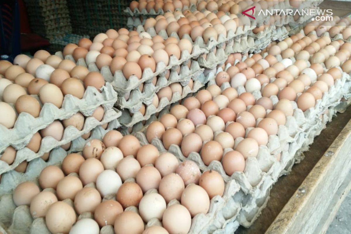 Harga telur ayam  di Baturaja naik Rp23.000/Kg