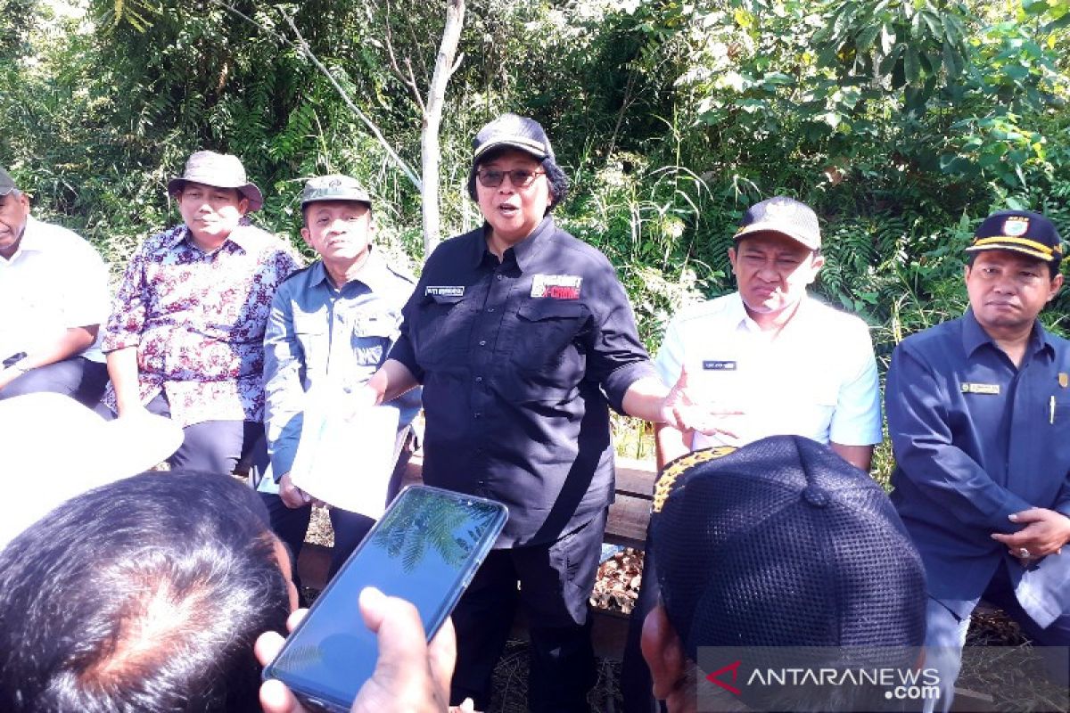 Hutan rakyat di Pulpis ditarget jadi percontohan internasional